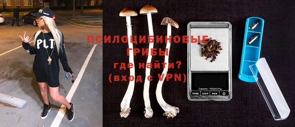молекула духа Навашино