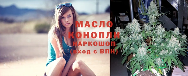 молекула духа Навашино